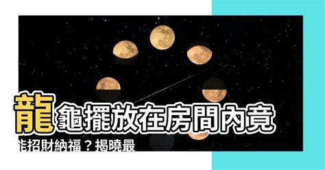 龍龜 擺 放 臥室|龍龜可以放房間嗎？臥室擺放助好眠、保平安 